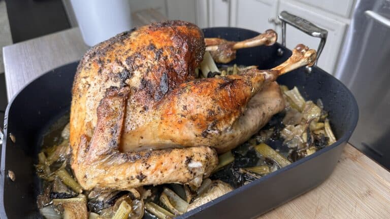 A roasted whole turkey 🦃 with crispy, golden-brown skin sits in a black roasting pan on a bed of cooked vegetables, including celery and onions, on a kitchen counter.