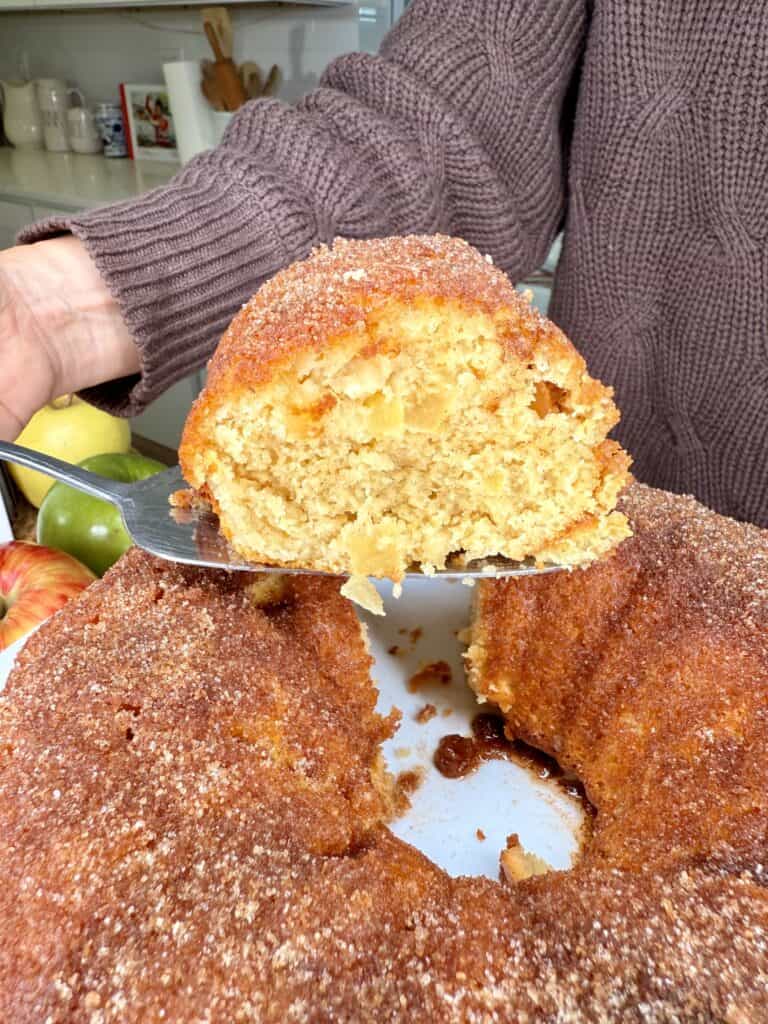Apple Cider Cake