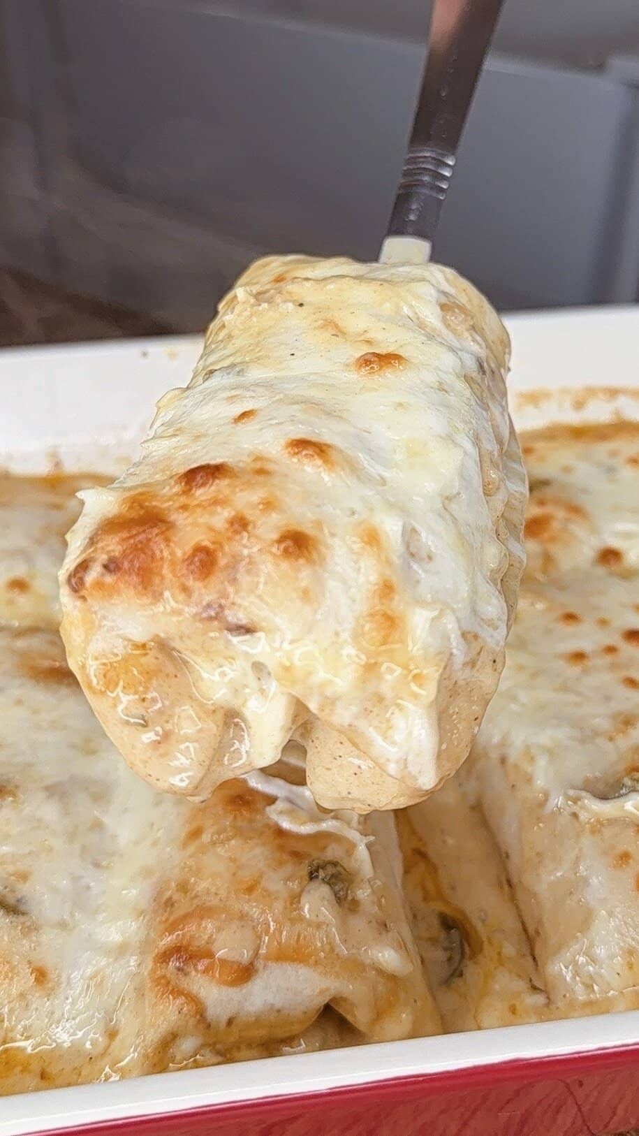 Creamy White Chicken Enchiladas