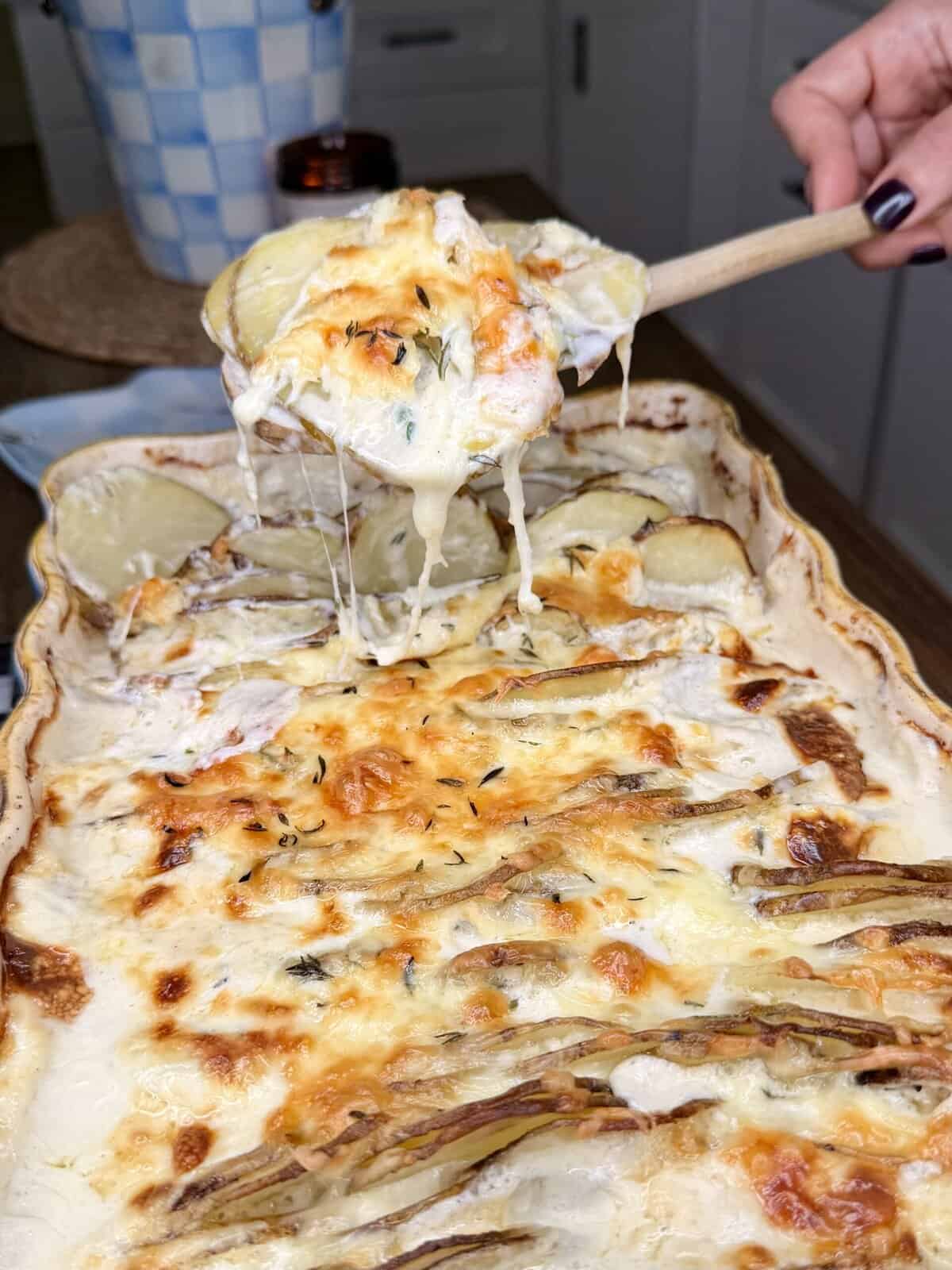 Cheesy Boursin Scalloped Potatoes