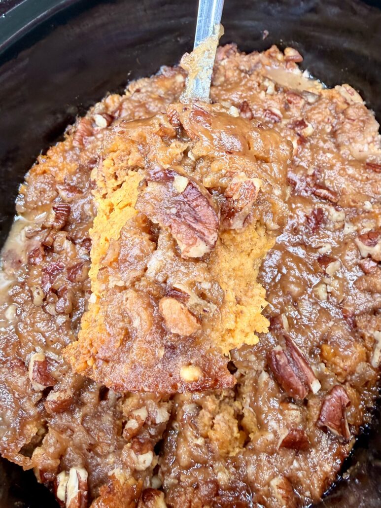 A close-up of a serving of pumpkin pecan cobbler being scooped from a baking dish, showing a moist, golden layer topped with chopped pecans.