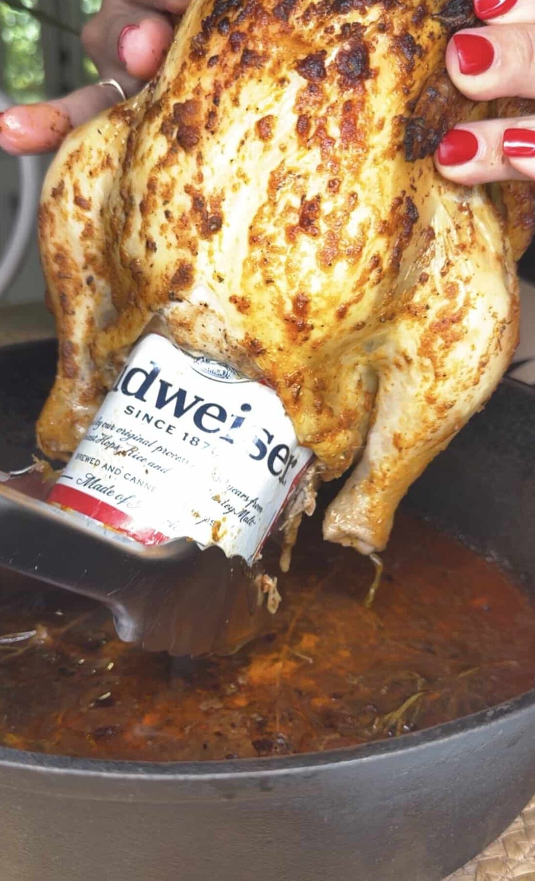 A roasted chicken is being lifted from a cast iron skillet, with a Budweiser beer can inserted inside. A hand with red painted nails holds the chicken. There is reddish liquid at the bottom of the skillet.